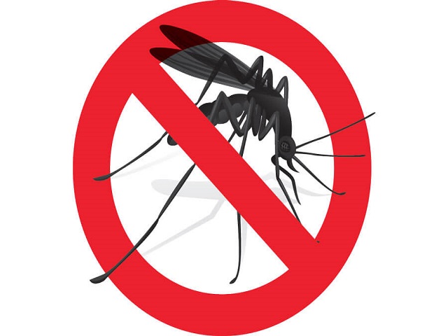 Provvedimenti per la prevenzione ed il controllo della zanzara tigre (Aedes Albopictus) - anno 2024