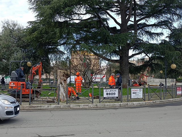 Ambiente a Ciampino, l’Amministrazione dialoga con i cittadini sul programma di abbattimenti di alberi in Città