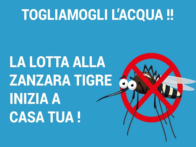 La lotta alla zanzara tigre inizia a casa tua, al via la campagna informativa sul territorio