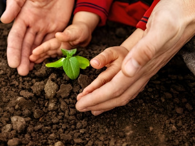 Calendario ritiro potature e verde da giardino 2025