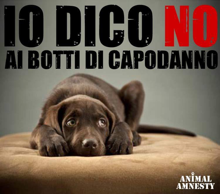 #iodiconoaibottidicapodanno